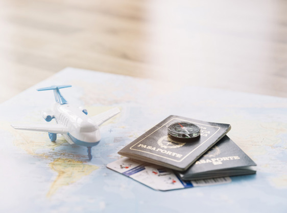 Visa consultancy